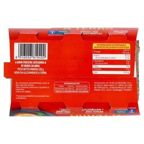 Fileni 6 Uova Fresche Italiane da allevamento a Terra 320 g